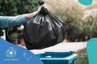 Как выбросить мусор без риска получить штраф